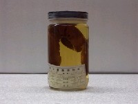 藏品(布氏粘盲鰻)的圖片